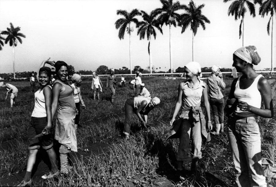 escuela al campo