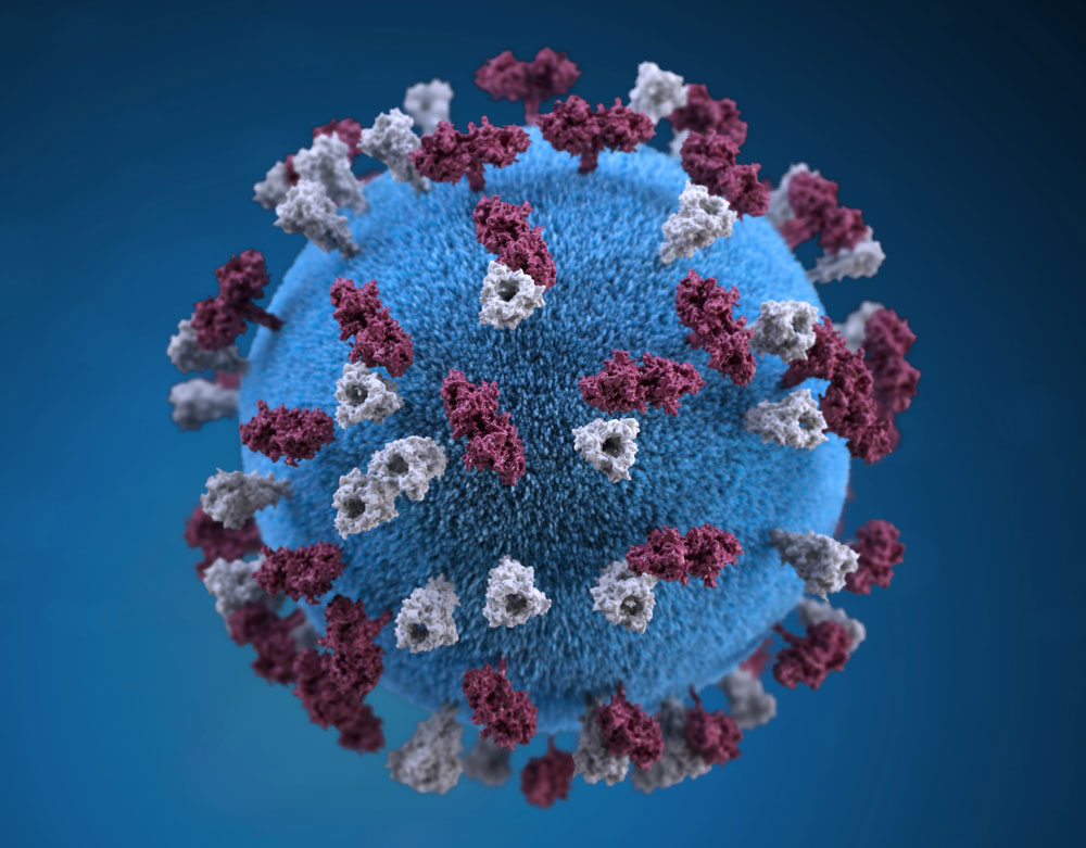 mapa coronavirus