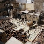Medina Fez el-Bali