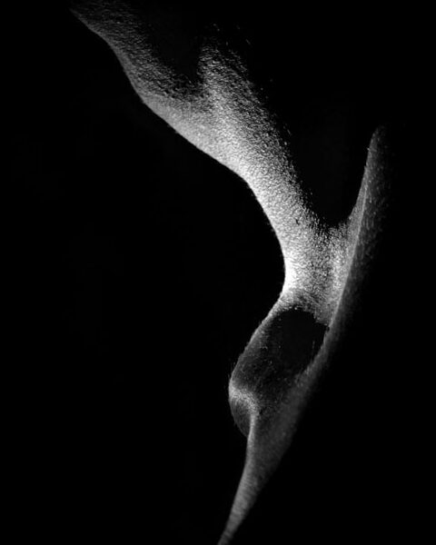 Sombras 3, Abraham Echevarría Díaz