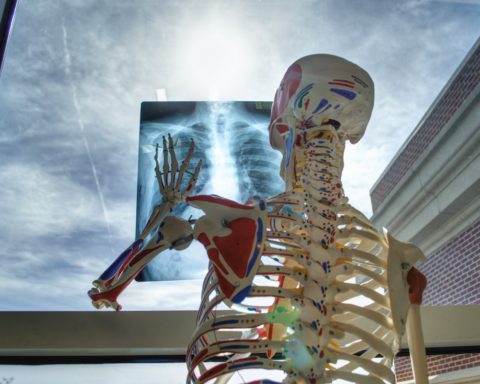 ciencia y ética en la biología