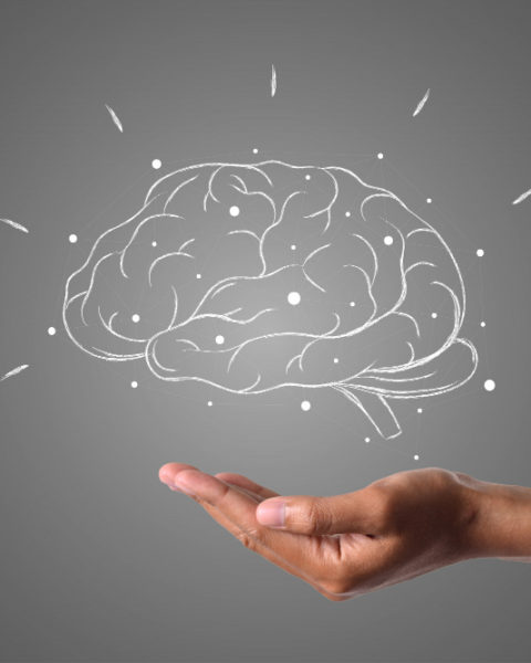 El cerebro en la cubeta de Hilary Putnam