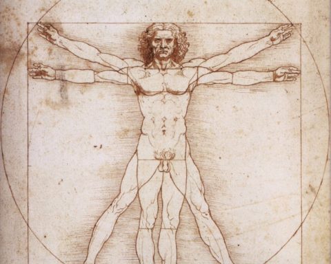 hombre de Vitruvio
