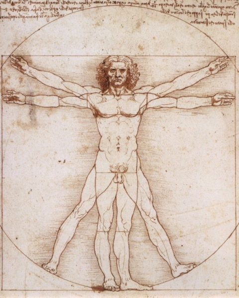 hombre de Vitruvio