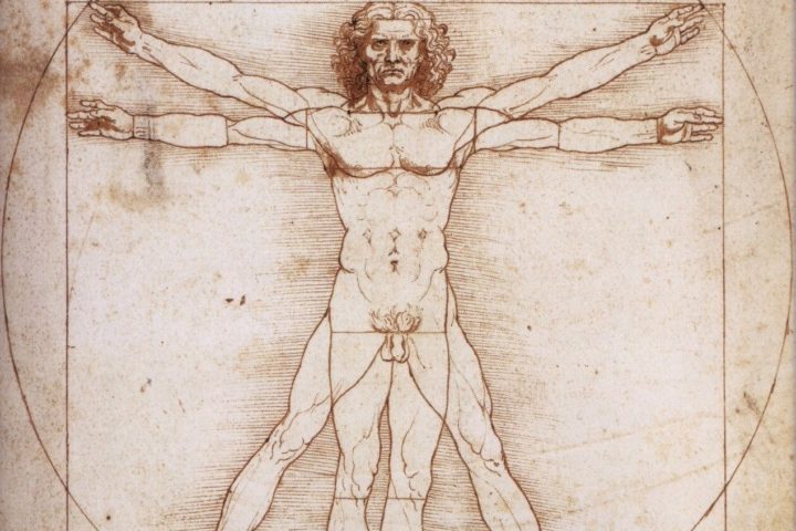 hombre de Vitruvio