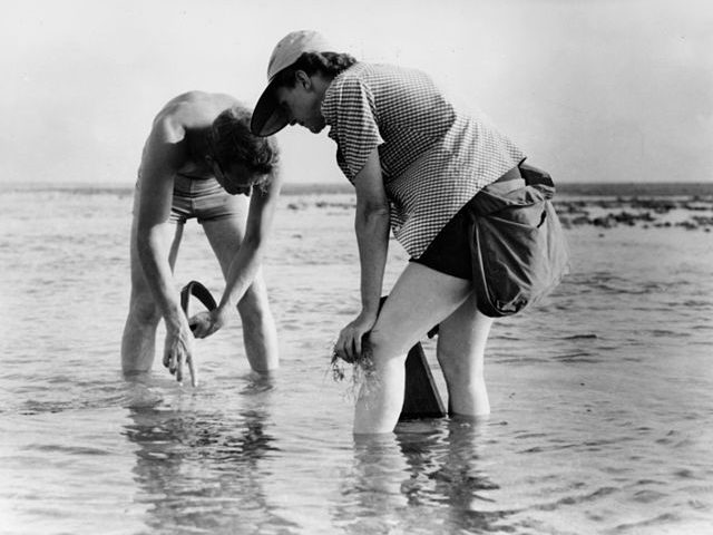 Rachel Carson y Bob Hines