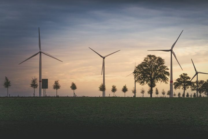 paisaje con árboles y turbinas ecológicas