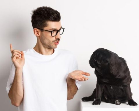 Hombre conversa con perro. ¿Pueden los animales no humanos tener creencias?