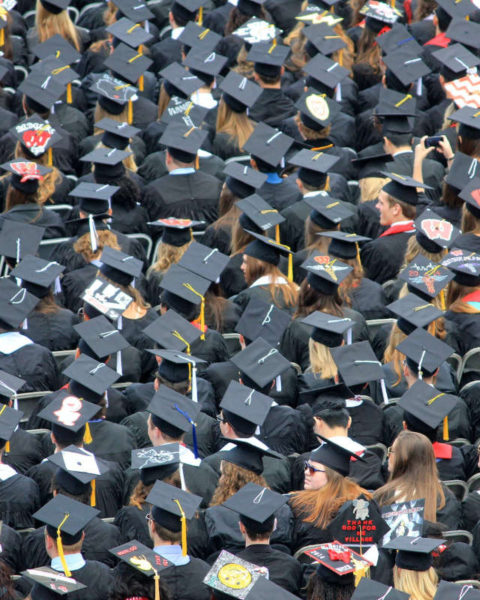 Graduados universitarios