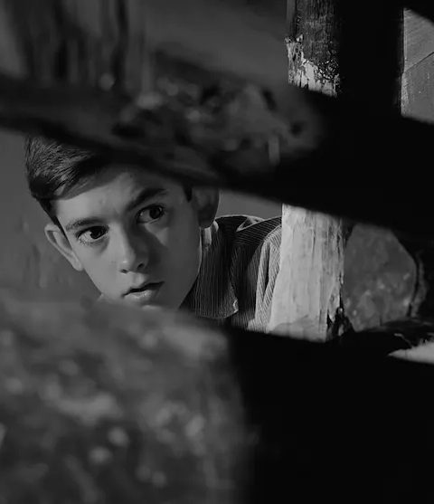Fotograma de la película ‘El camino’, basada en la obra de Delibes y dirigida por Ana Mariscal. IMDB