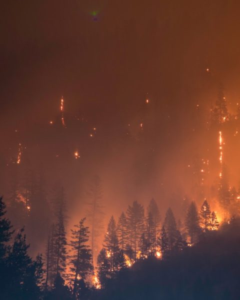 Incendios forestales