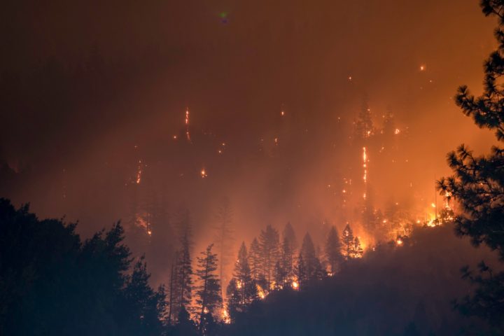Incendios forestales