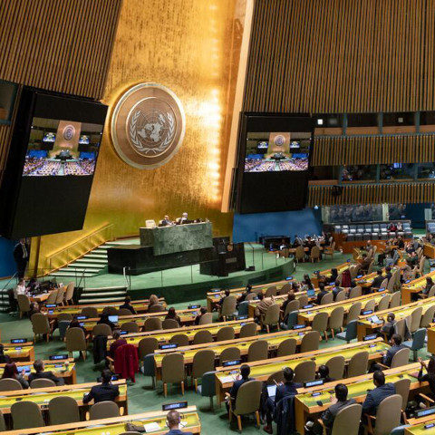 La Asamblea General se reúne para dar seguimiento a los resultados de la Cumbre del Milenio. UN Photo/Rick Bajornas