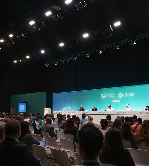 30 de noviembre - Apertura oficial de la COP28 de la CMNUCC. Fotografía de COP28 / Christopher Pike.
