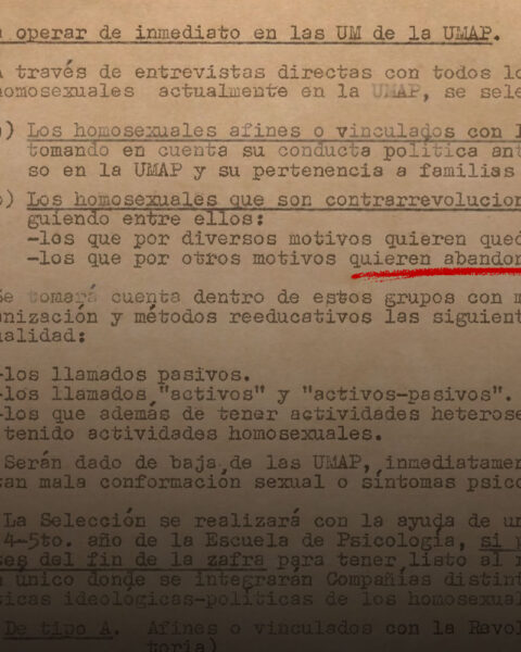 Foto del documento UMAP - Plan Homosexuales