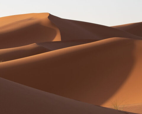 Dune de Frank Herbert