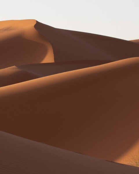 Dune de Frank Herbert