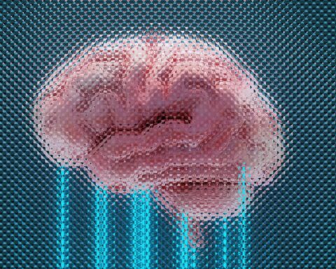 Cerebro humano y conciencia en simulación tras la muerte