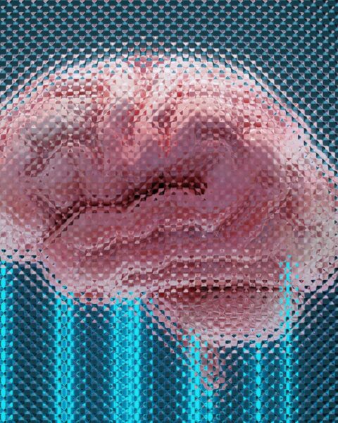 Cerebro humano y conciencia en simulación tras la muerte