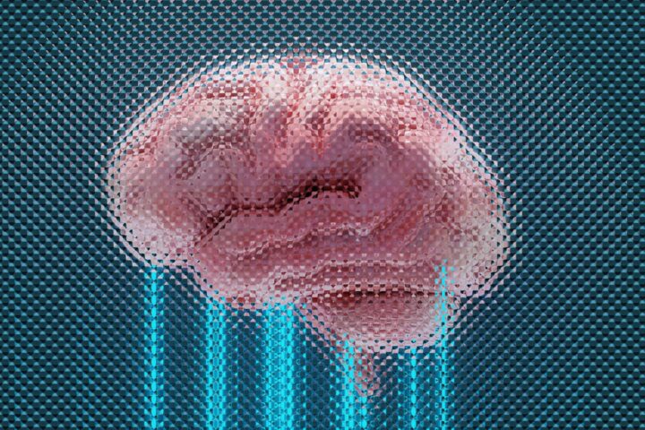 Cerebro humano y conciencia en simulación tras la muerte