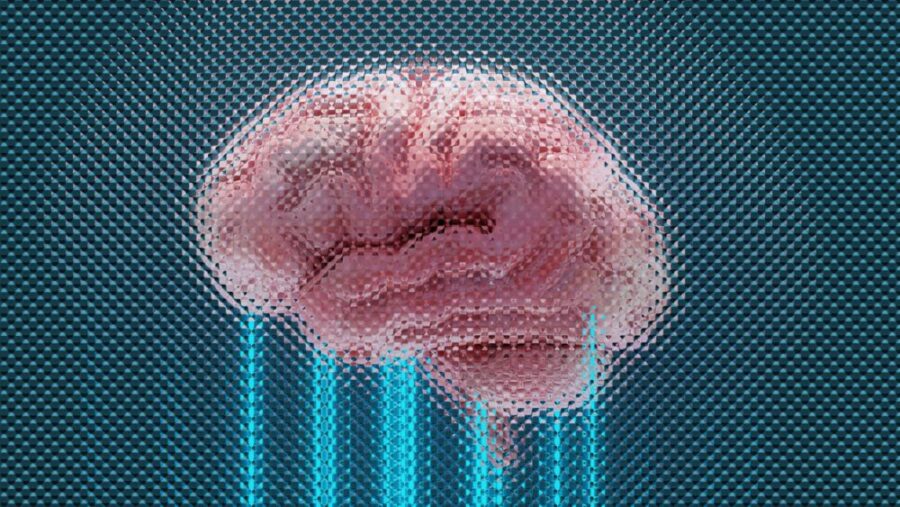 Cerebro humano y conciencia en simulación tras la muerte