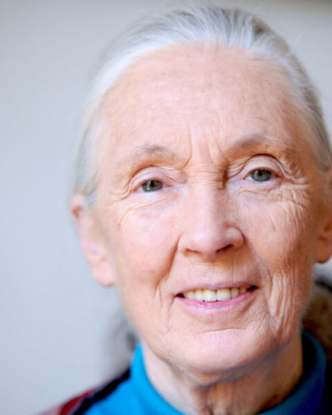 Foto de Jane Goodall en París