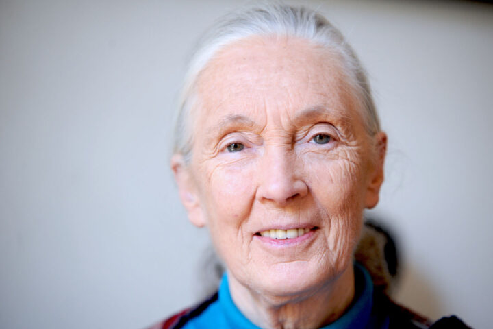 Foto de Jane Goodall en París