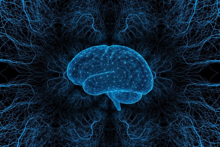 Un cerebro que representa los distintos tipos de consciencia