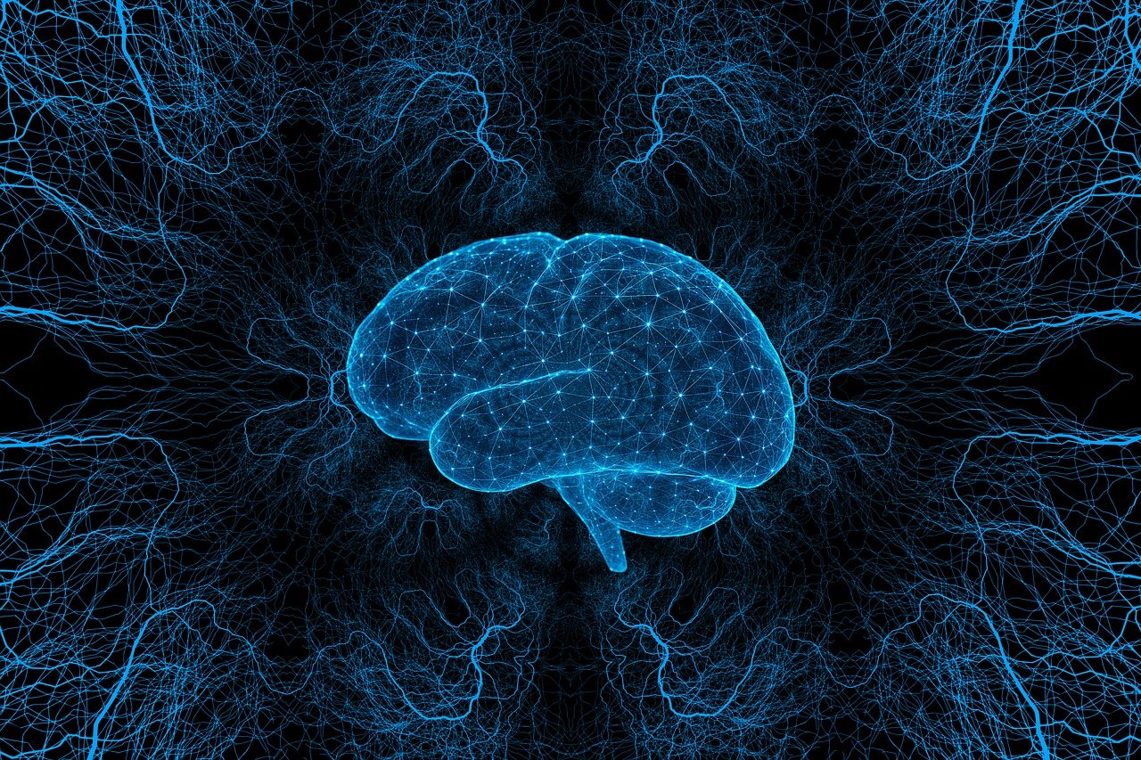 Un cerebro que representa los distintos tipos de consciencia