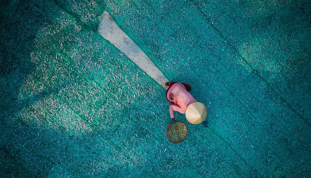Foto de un aldeano trabajando el campo